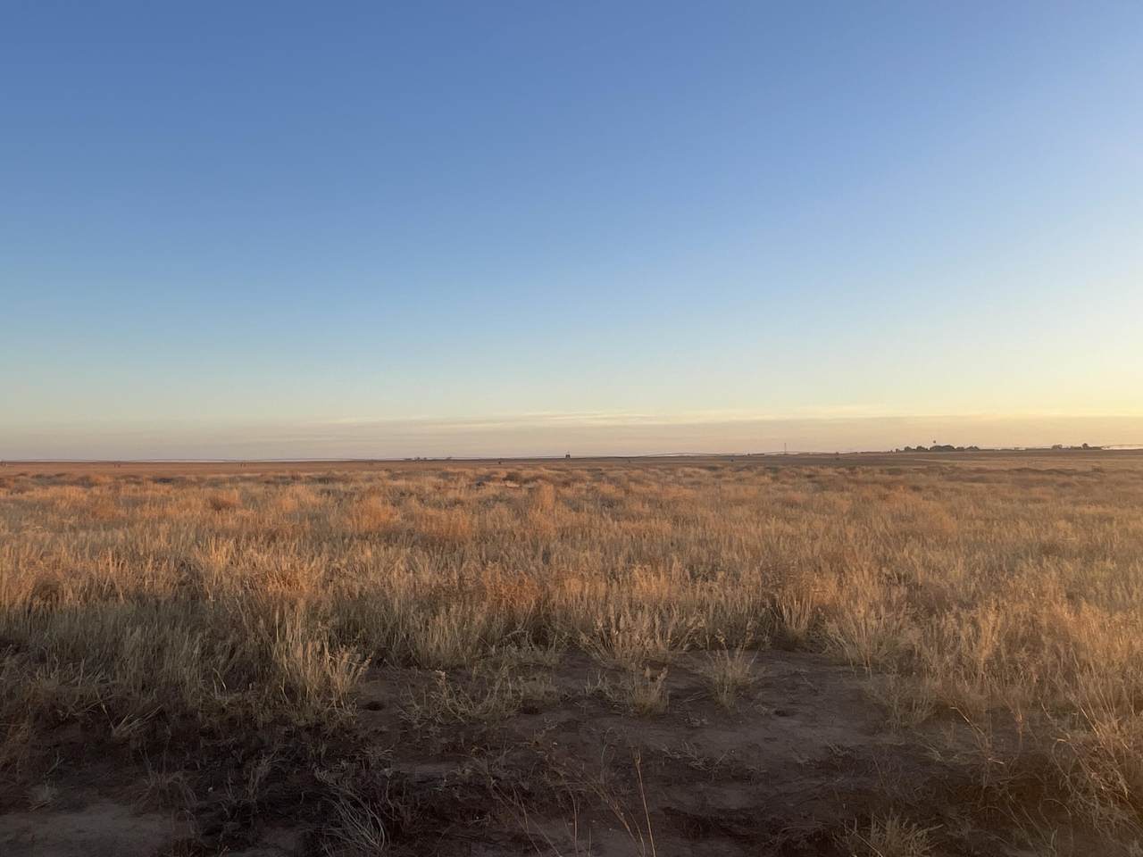 https://bt-photos.global.ssl.fastly.net/lubbock/1280_boomver_1_20260209210948232031000000-2.jpg