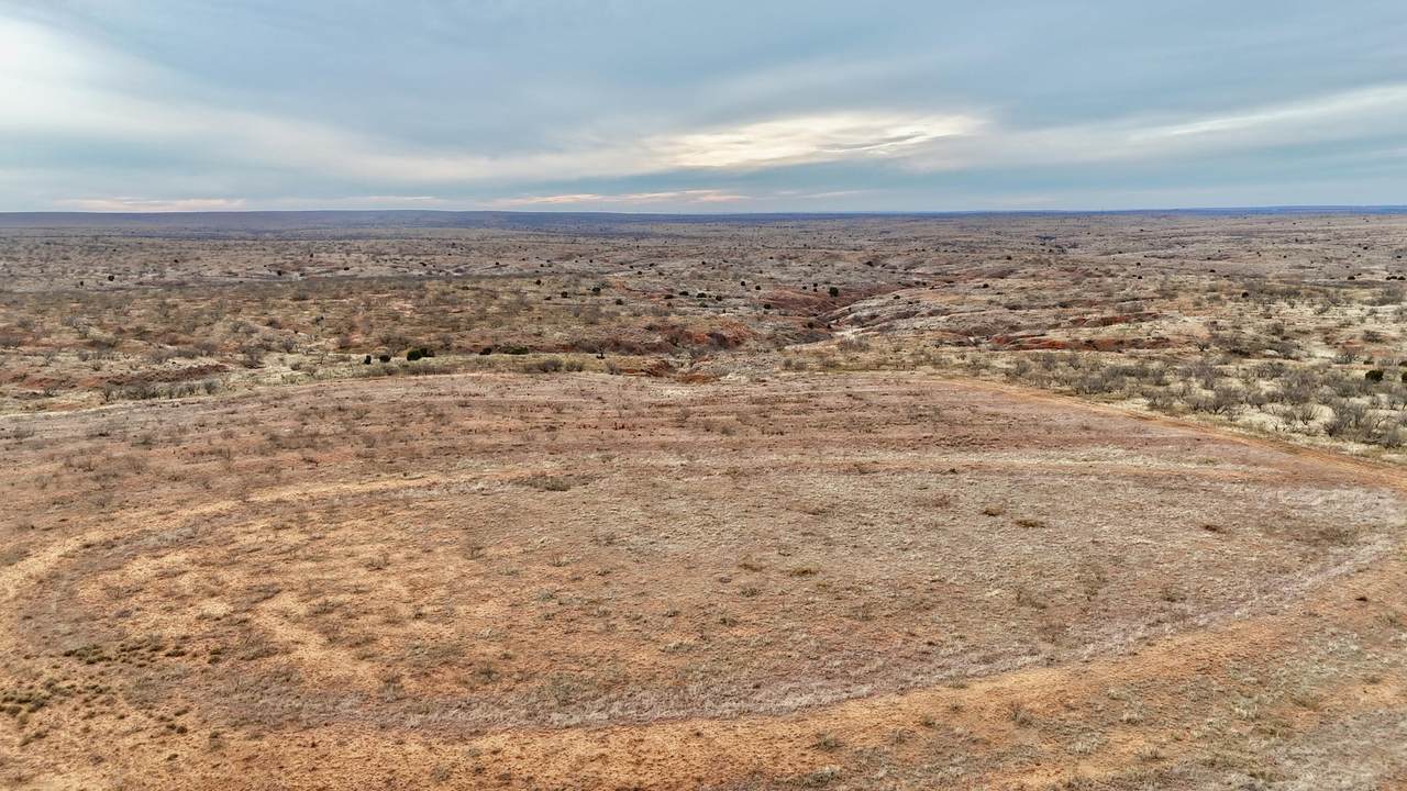  Farm To Market 1440 - Photo 1