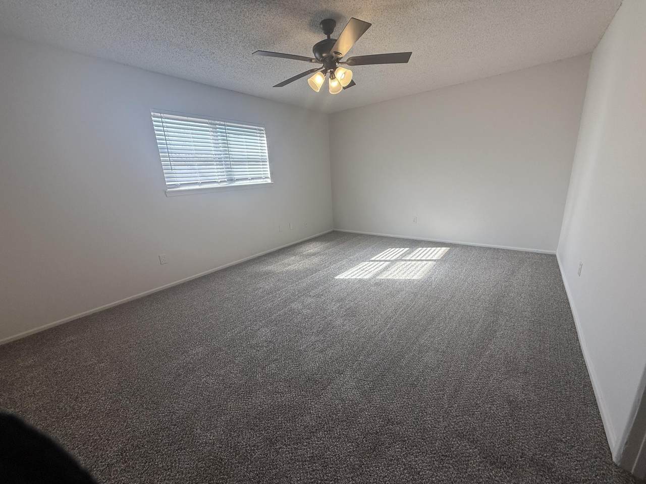 https://bt-photos.global.ssl.fastly.net/lubbock/1280_boomver_1_20260220135419440599000000-2.jpg