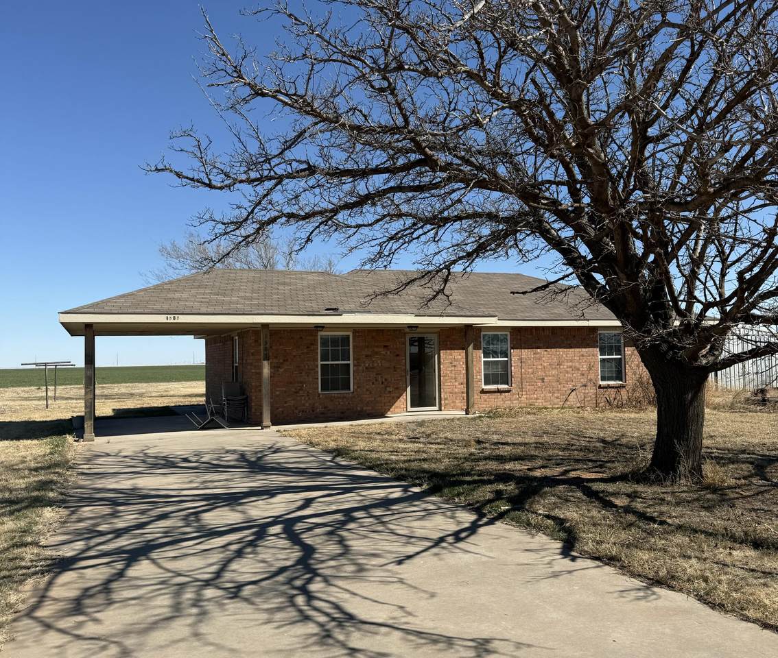 https://bt-photos.global.ssl.fastly.net/lubbock/1280_boomver_1_20260226125757324286000000-2.jpg