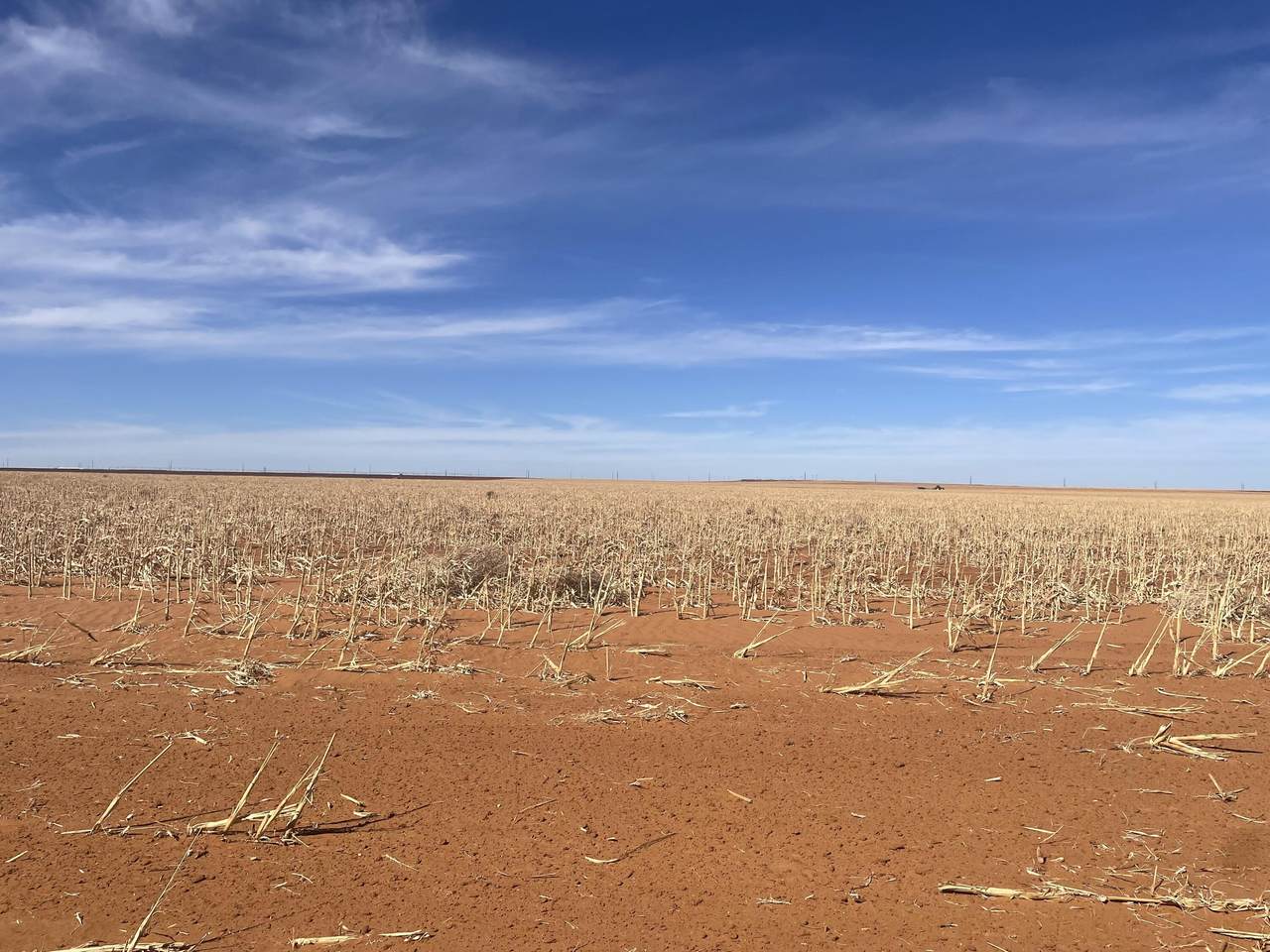 https://bt-photos.global.ssl.fastly.net/lubbock/1280_boomver_1_20260309193452557479000000-2.jpg