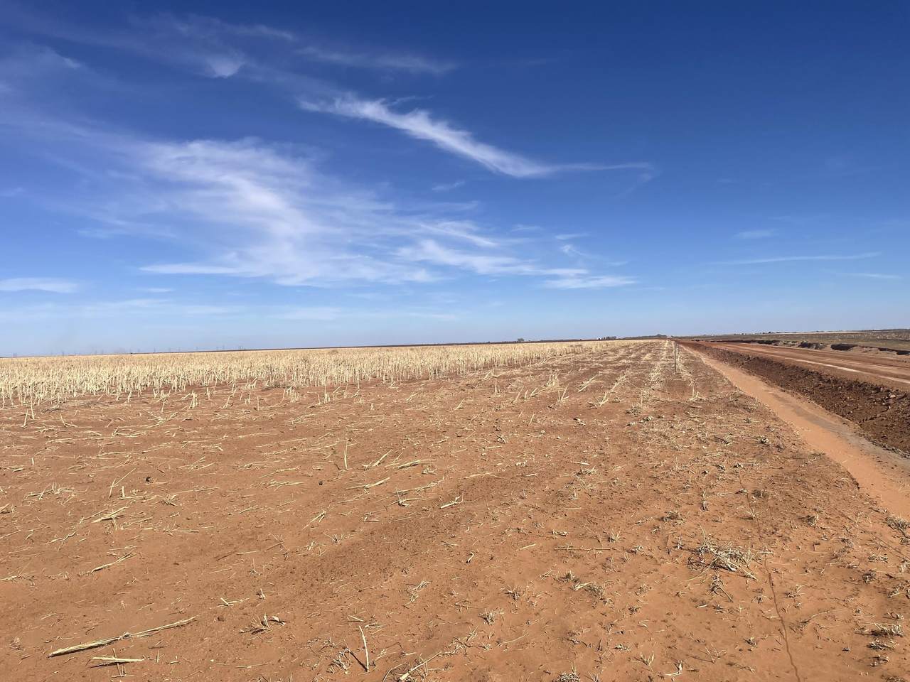 https://bt-photos.global.ssl.fastly.net/lubbock/1280_boomver_1_20260309193452557479000000-2.jpg