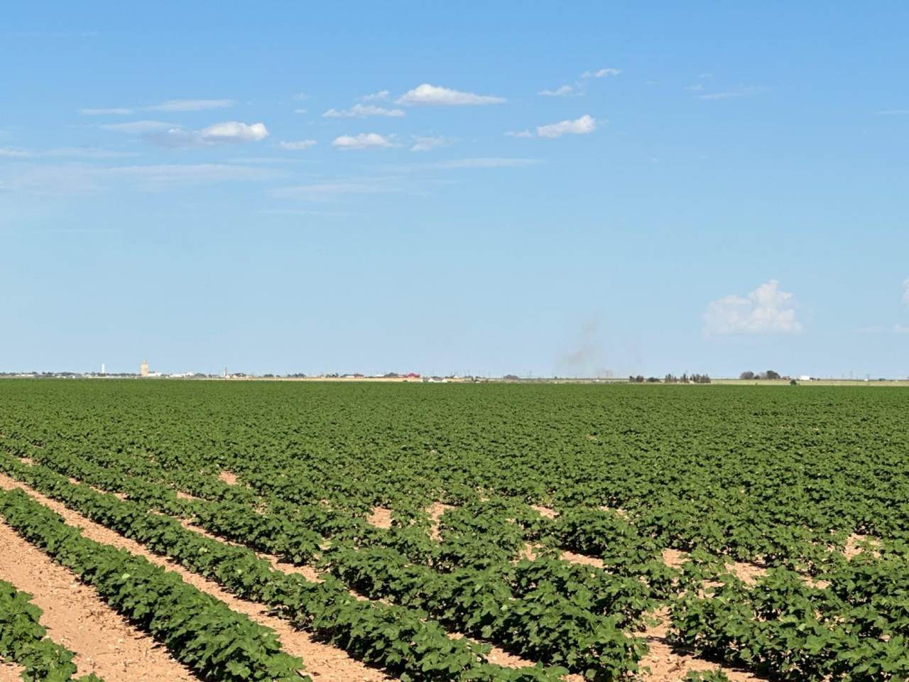 https://bt-photos.global.ssl.fastly.net/lubbock/1280_boomver_1_20260325155050556812000000-2.jpg