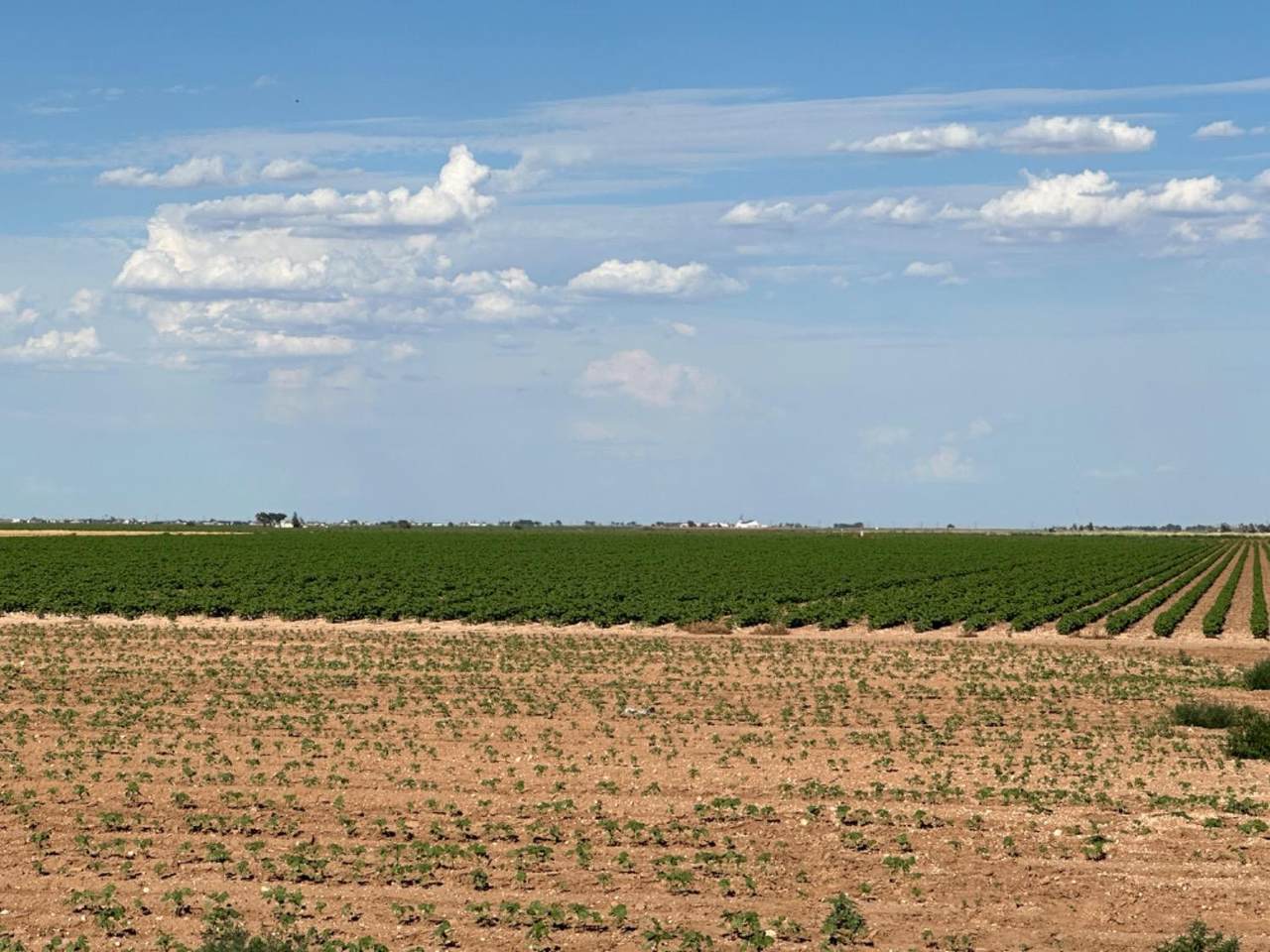 https://bt-photos.global.ssl.fastly.net/lubbock/1280_boomver_1_20260325155050556812000000-2.jpg