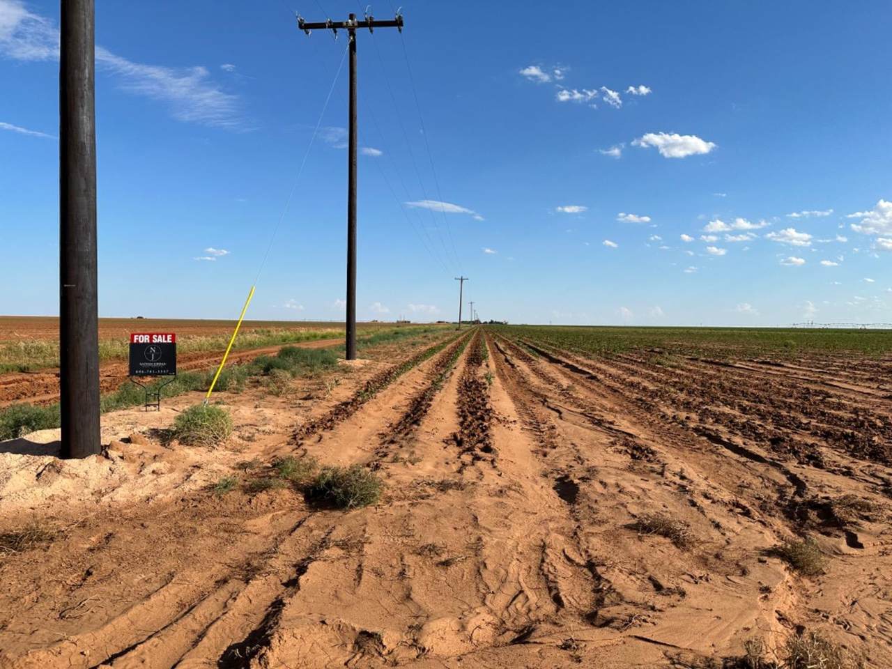 https://bt-photos.global.ssl.fastly.net/lubbock/1280_boomver_1_20260325155306483464000000-2.jpg