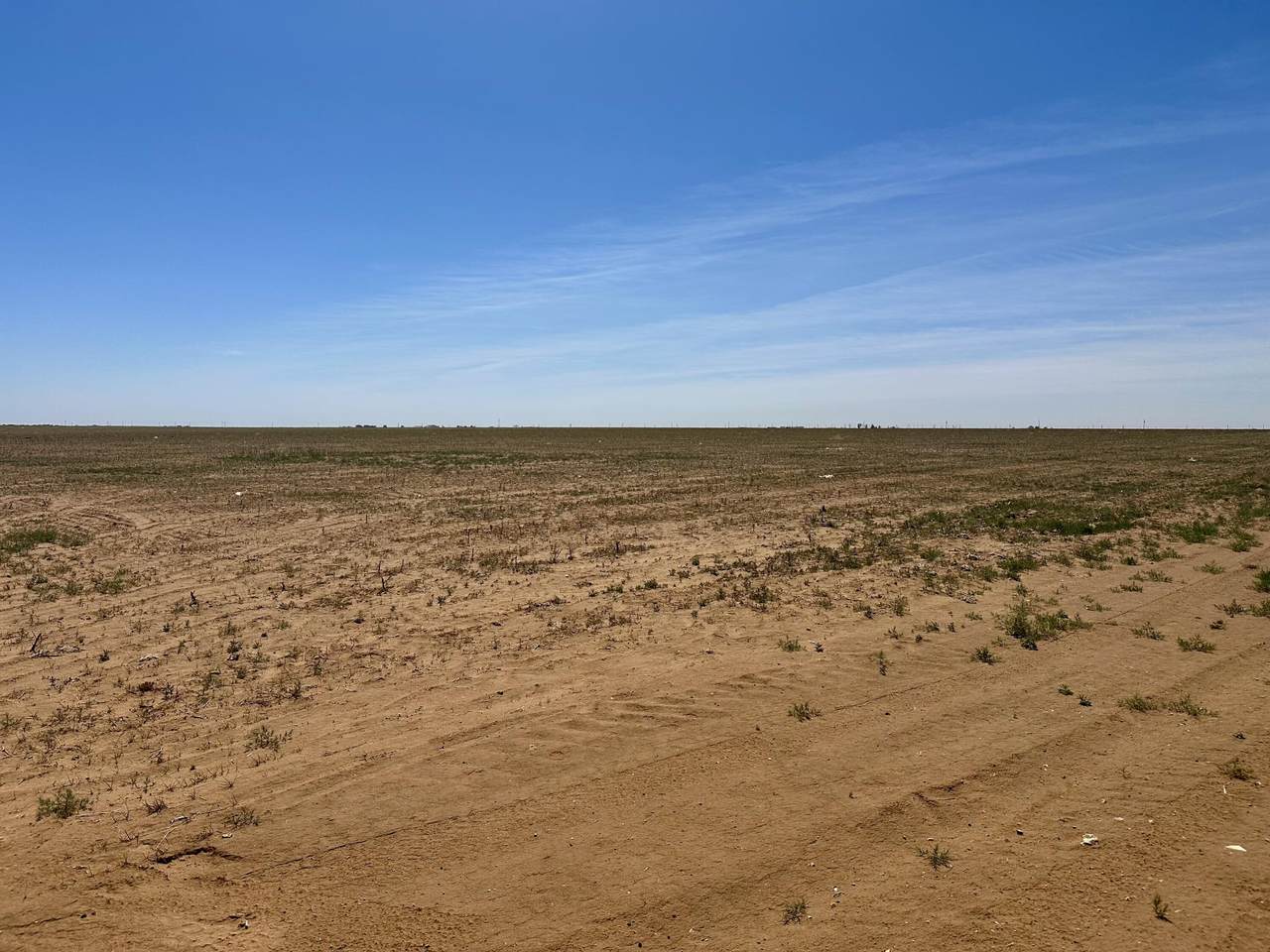 https://bt-photos.global.ssl.fastly.net/lubbock/1280_boomver_1_20260421160015798123000000-2.jpg