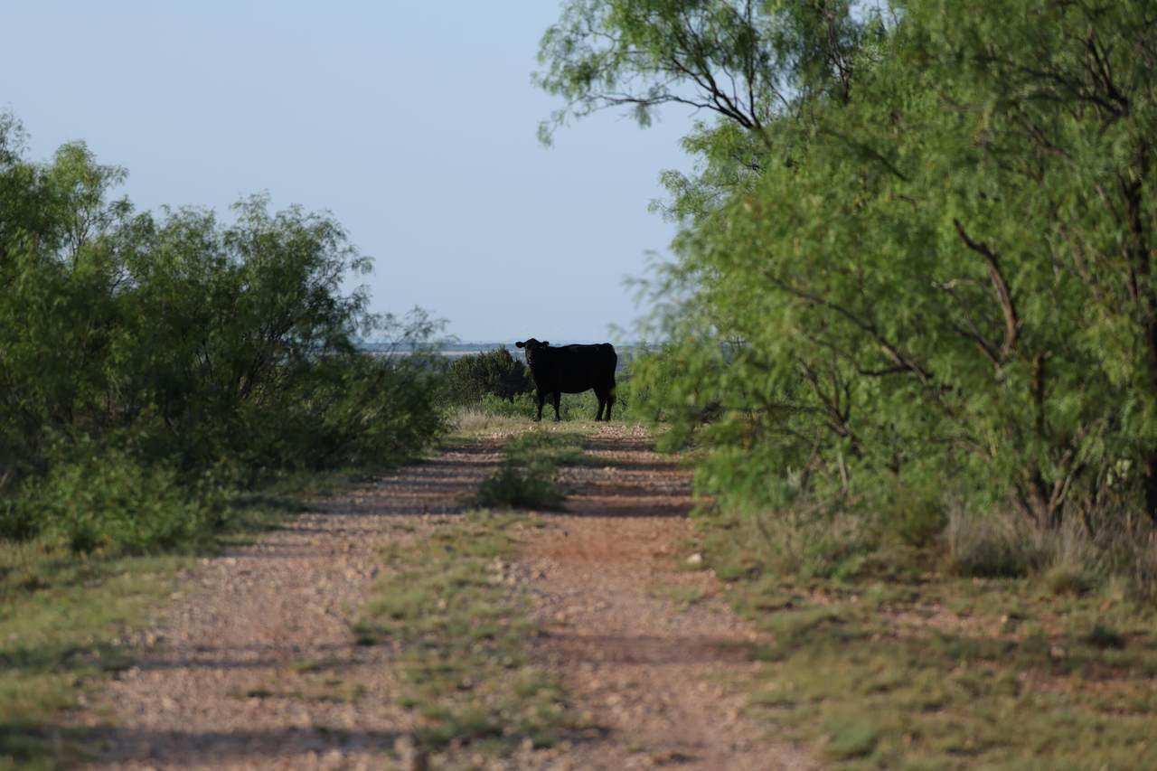  Texas 92 - Photo 1