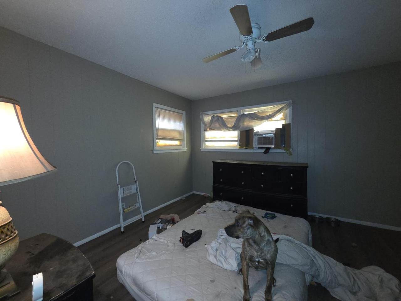 https://bt-photos.global.ssl.fastly.net/lubbock/1280_boomver_1_20260617230121076457000000-2.jpg
