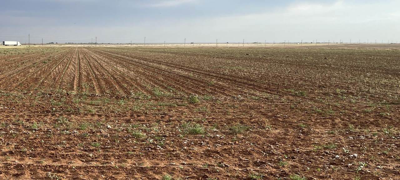 FM 2411 Fm 2411 - Photo 1