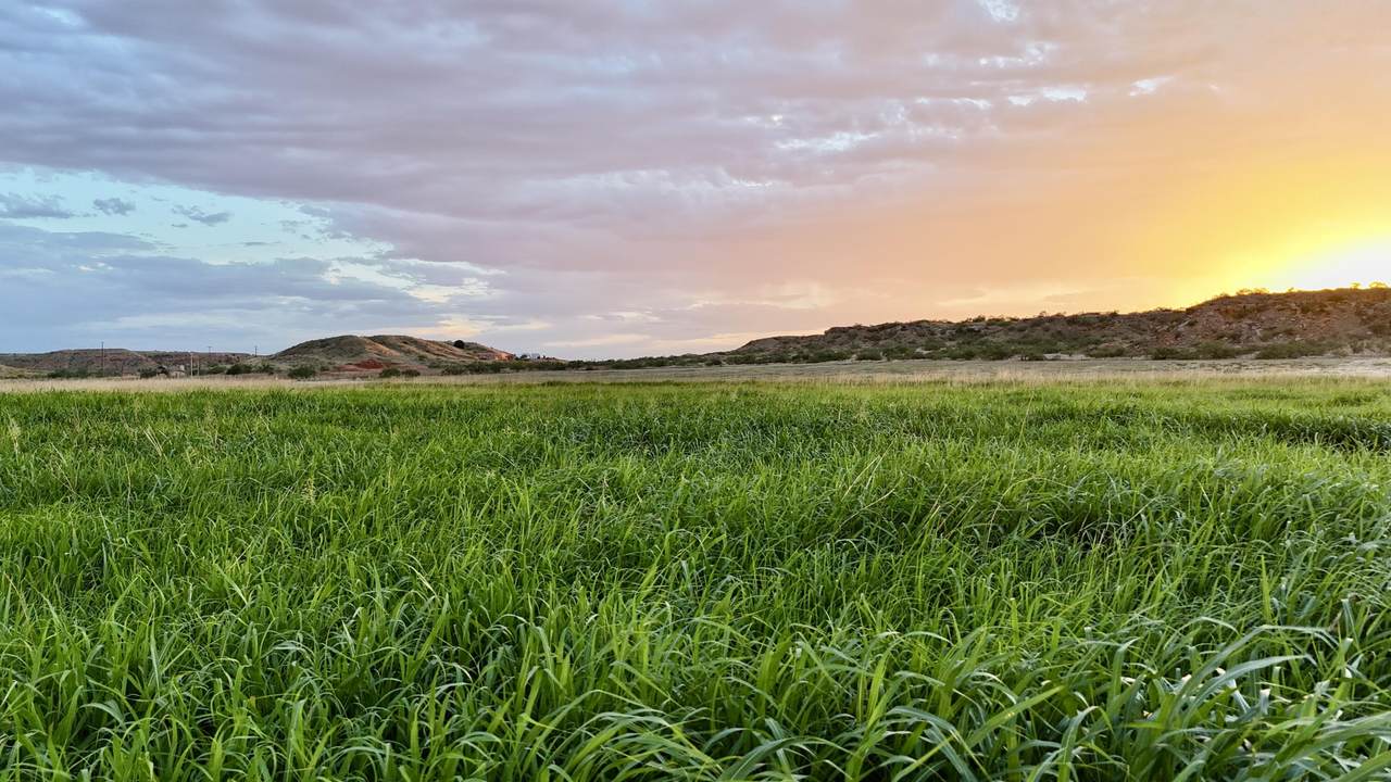 https://bt-photos.global.ssl.fastly.net/lubbock/1280_boomver_1_20260702165906928067000000-2.jpg