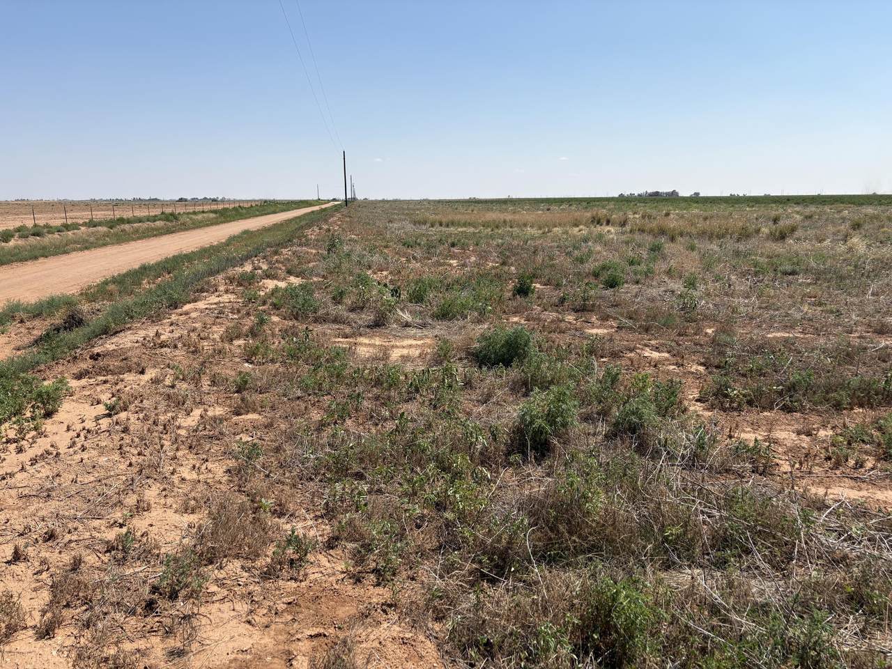 https://bt-photos.global.ssl.fastly.net/lubbock/orig_boomver_1_20260727184450237047000000-2.jpg