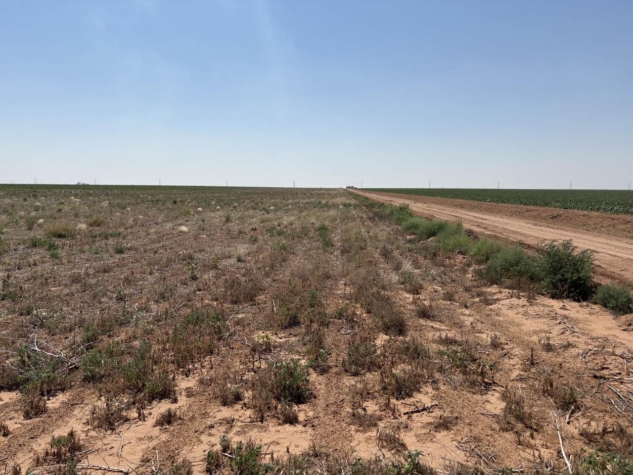 https://bt-photos.global.ssl.fastly.net/lubbock/1280_boomver_2_20260727190500247458000000-2.jpg