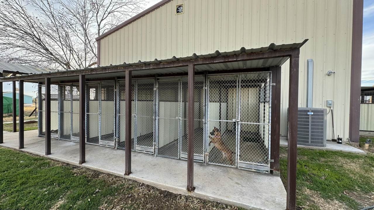 https://bt-photos.global.ssl.fastly.net/lubbock/1280_boomver_1_20260801231721415447000000-2.jpg