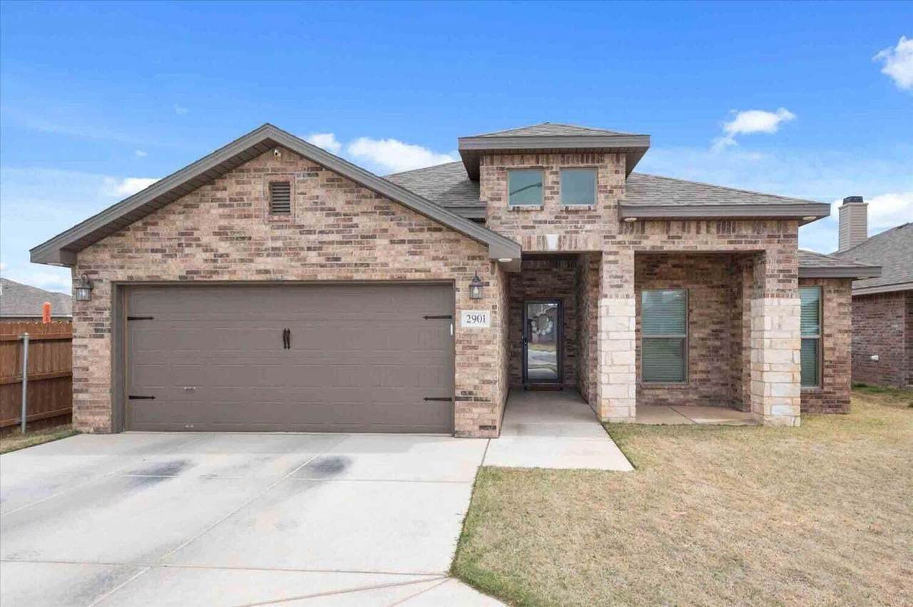 2901 Urbana Place - Photo 1