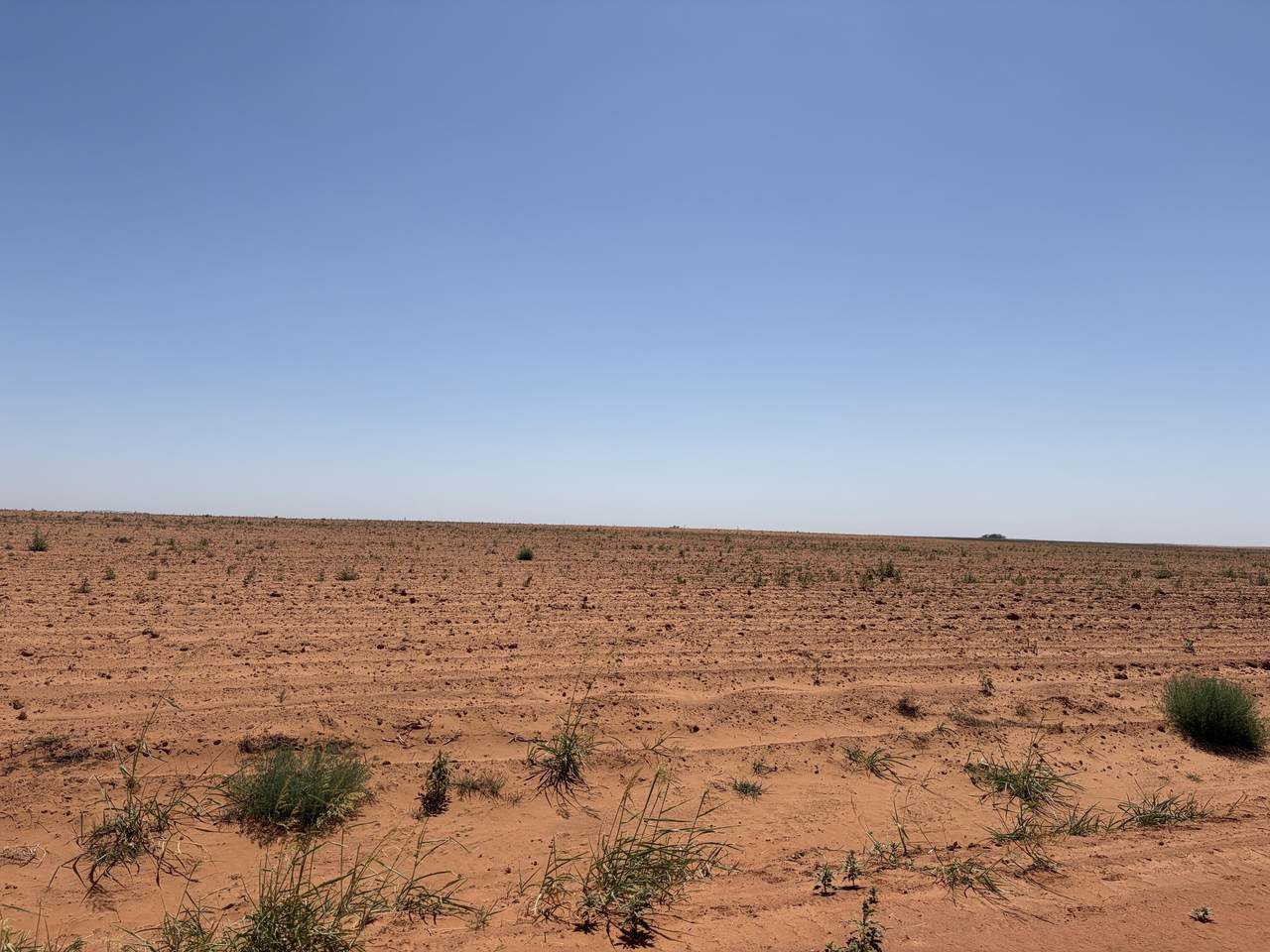 https://bt-photos.global.ssl.fastly.net/lubbock/1280_boomver_1_20260821203950406441000000-2.jpg