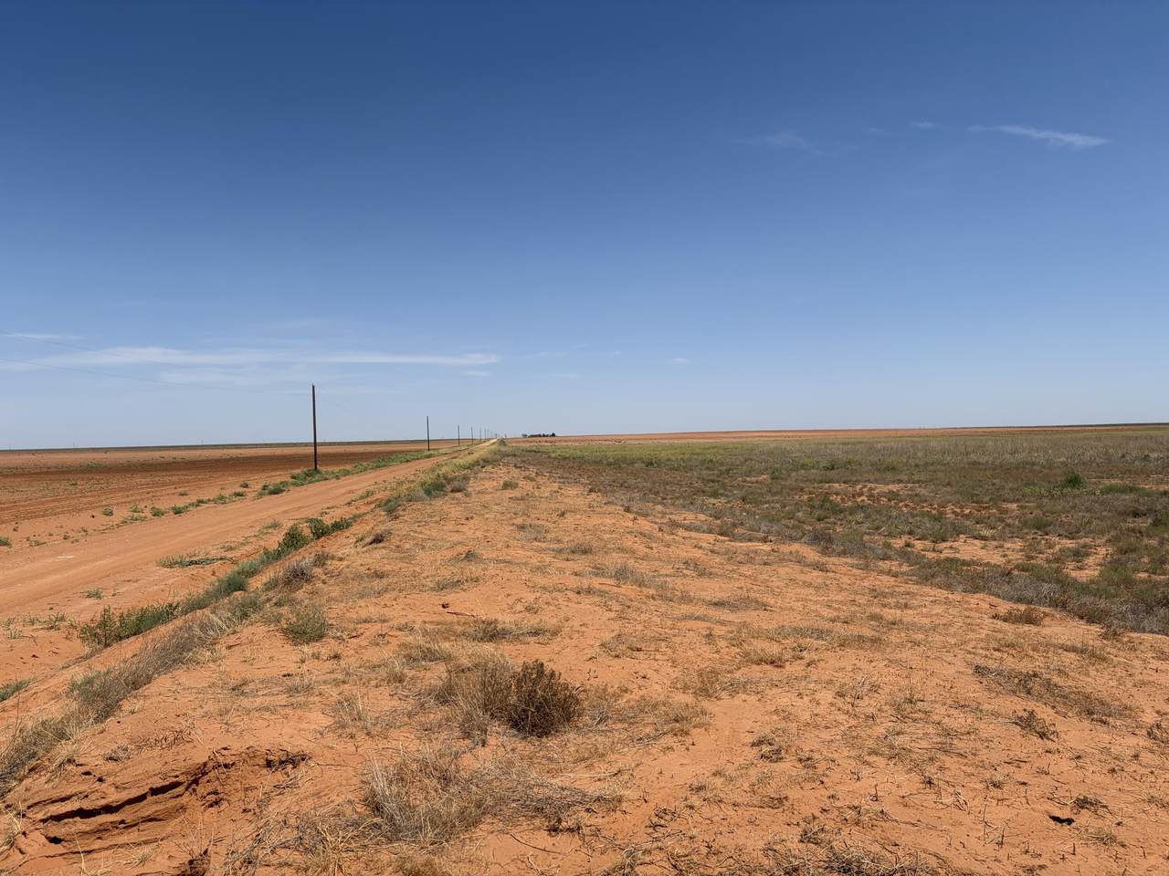 https://bt-photos.global.ssl.fastly.net/lubbock/1280_boomver_1_20260821203950406441000000-2.jpg