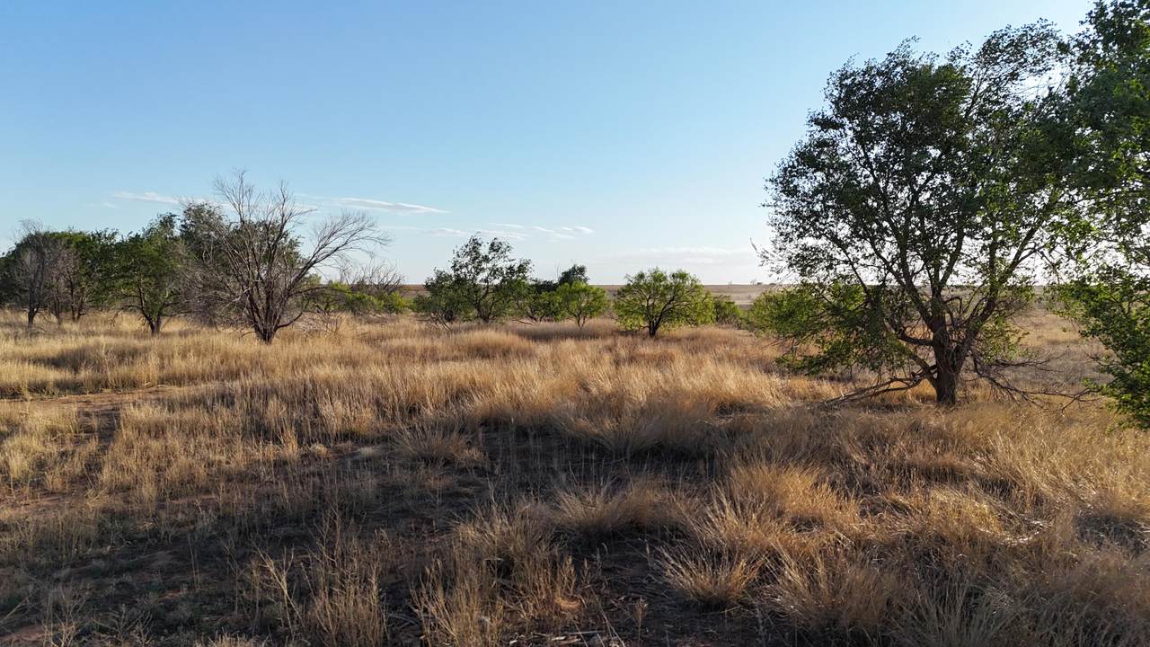 https://bt-photos.global.ssl.fastly.net/lubbock/1280_boomver_1_20260908154912104841000000-2.jpg