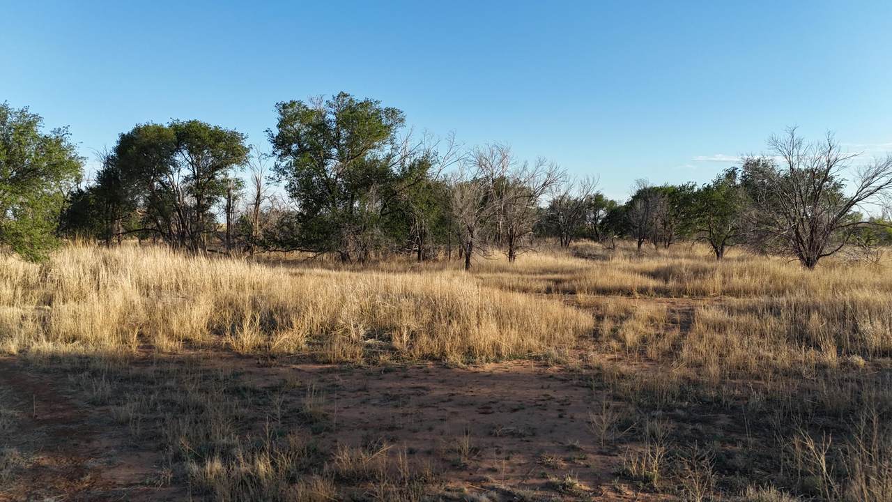https://bt-photos.global.ssl.fastly.net/lubbock/1280_boomver_1_20260908154912104841000000-2.jpg