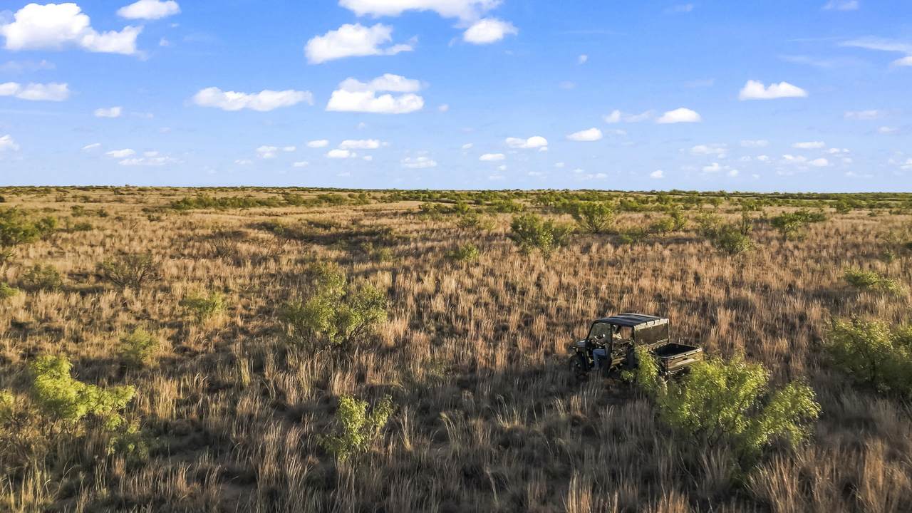 https://bt-photos.global.ssl.fastly.net/lubbock/1280_boomver_1_20260908192027957648000000-2.jpg
