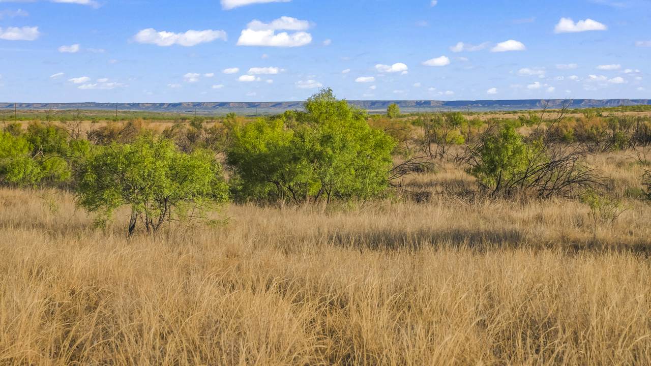 https://bt-photos.global.ssl.fastly.net/lubbock/1280_boomver_1_20260908192027957648000000-2.jpg