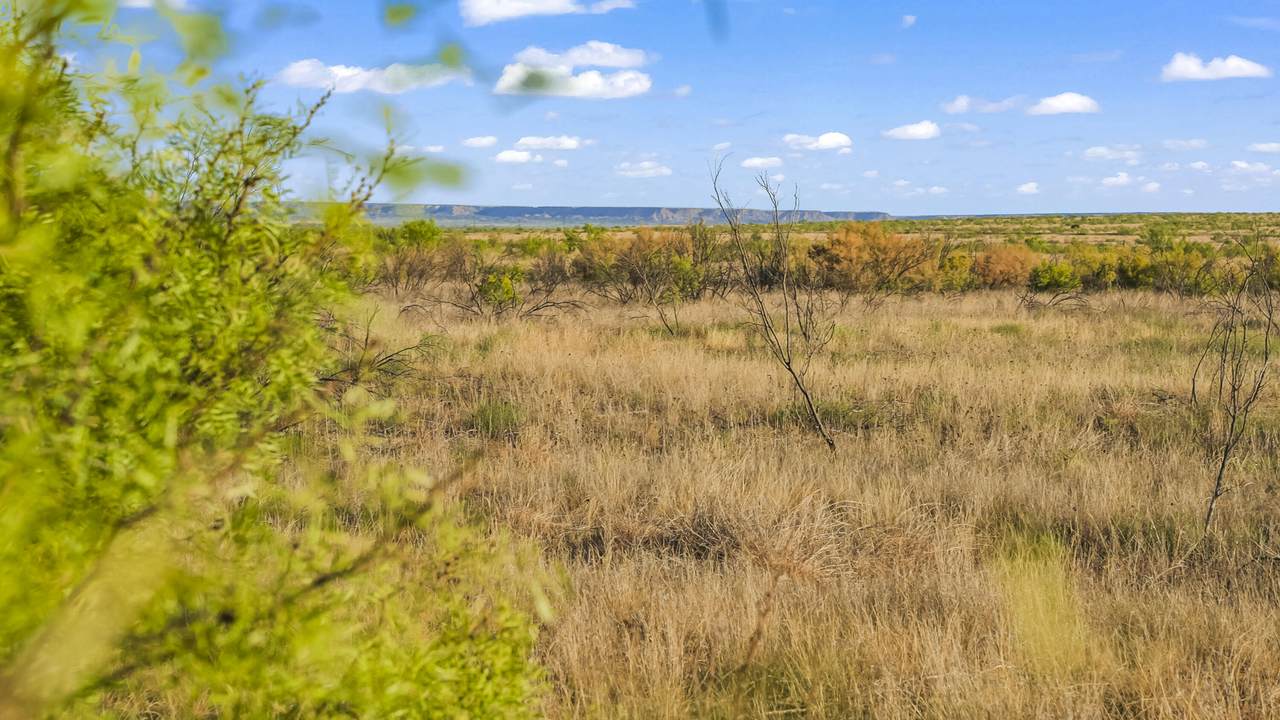 https://bt-photos.global.ssl.fastly.net/lubbock/1280_boomver_1_20260908192027957648000000-2.jpg
