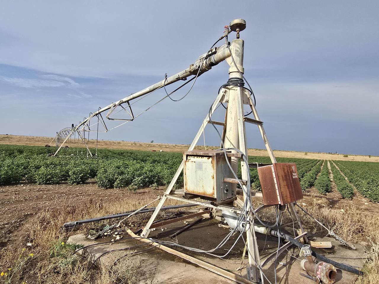 https://bt-photos.global.ssl.fastly.net/lubbock/1280_boomver_1_20260930172825160223000000-2.jpg