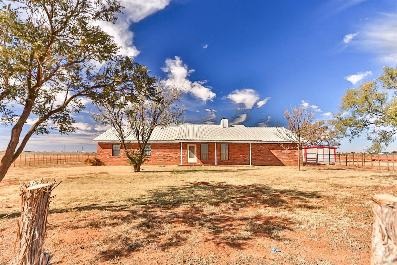 1712 Lovebird Road - Photo 1