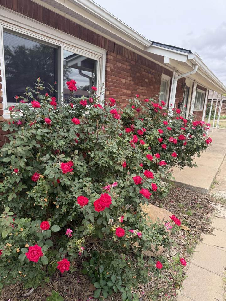 https://bt-photos.global.ssl.fastly.net/lubbock/1280_boomver_2_20260217225311727179000000-2.jpg