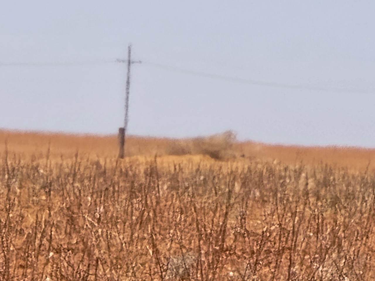 https://bt-photos.global.ssl.fastly.net/lubbock/1280_boomver_2_20260506174759830149000000-2.jpg