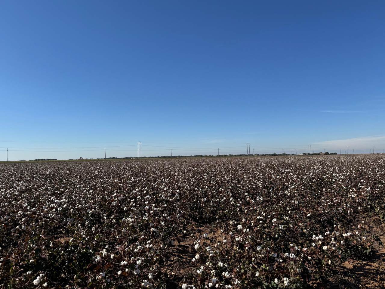 740 Sun Road - Photo 1