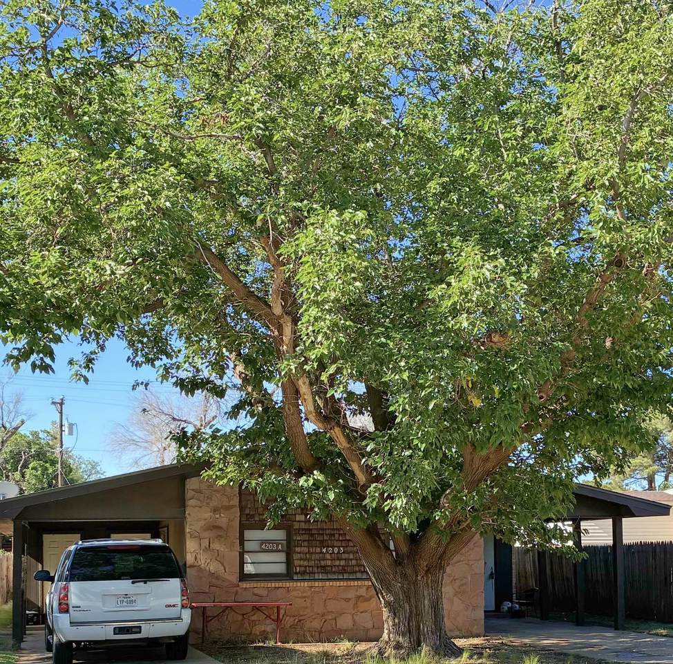 4203 17th Street - Photo 1