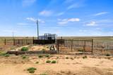 2921 County Road 52 - Photo 43
