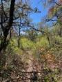 0 County Road 136 - Photo 3