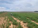 0 County Road 5200 - Photo 15