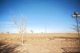 2581 Co Rd 365 - Photo 20