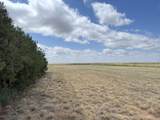 3391 Fisher Road - Photo 37