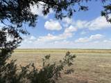 3391 Fisher Road - Photo 41