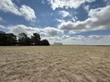3391 Fisher Road - Photo 42