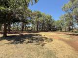 3391 Fisher Road - Photo 44