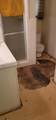 8305 4th Street - Photo 18