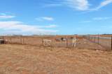 689 Farm To Market Road 179 - Photo 39