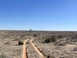 0 County Road 405 - Photo 1