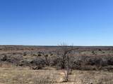 0 County Road 405 - Photo 15