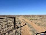 0 County Road 405 - Photo 4