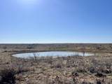 0 County Road 405 - Photo 5