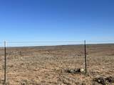 0 County Road 405 - Photo 7