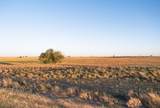 0 Co Rd 332 - Photo 13