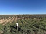 0 Co Rd 5200 - Photo 2