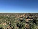 0 Co Rd 5200 - Photo 36