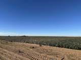 0 Co Rd 5200 - Photo 37